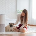 Achieving Dust-Free Living Spaces by Integrating Air Purifiers for Dusty Houses with the Efficiency of 16x20x1 Air Filters