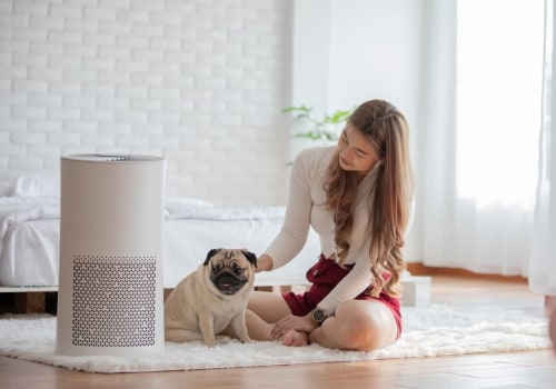 Achieving Dust-Free Living Spaces by Integrating Air Purifiers for Dusty Houses with the Efficiency of 16x20x1 Air Filters